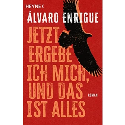 Afbeelding van Jetzt ergebe ich mich, und das ist alles: Roman