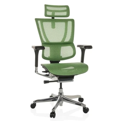 Afbeelding van ERGOHUMAN SLIM GEN2 net Luxe directiestoel Groen