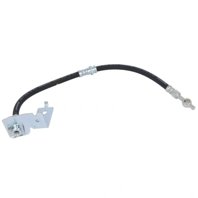 Afbeelding van Remslang DELPHI LH6691
