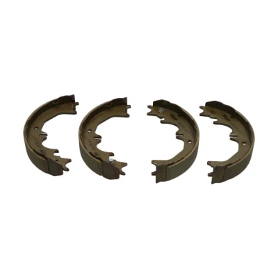 Afbeelding van Kavo Parts Remschoen set KBS 9922