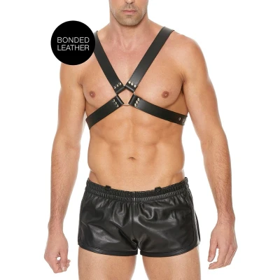 Afbeelding van Leather Harness with Large Buckle One Size