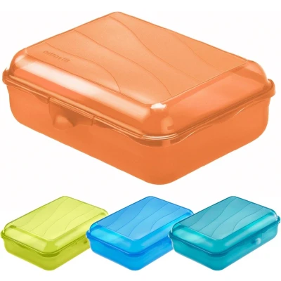 Afbeelding van Rotho lunchbox FUN 1,25 l (20 x 14 6 cm) transparant 1250 ml