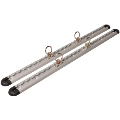 Afbeelding van Aanhangwagendirect Rails voor ladingzekering 60 cm 45 mm breed 2 stuks
