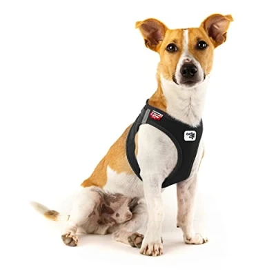 Afbeelding van Vest Harness Curli Clasp Softshell Black XS