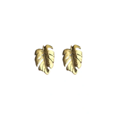 Afbeelding van oorbellen dames oorstekers goudkleurig knopjes set monstera blad oDaani