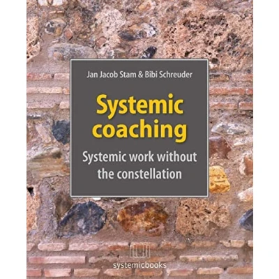 Afbeelding van systemic coaching: work without the constellation