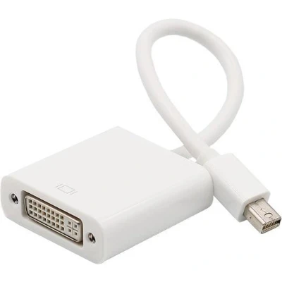 Afbeelding van XIB Mini Displayport naar DVI / DP to adapter Wit