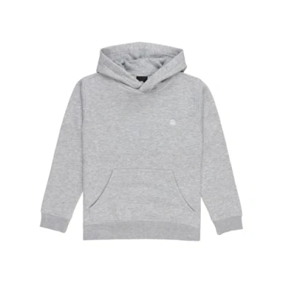 Afbeelding van Element Cornell Classic Unisex Hoodie voor kinderen, Maat: 164, Mid grey heather