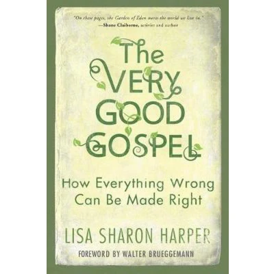 Afbeelding van The Very Good Gospel: How Everything Wrong Can Be Made Right