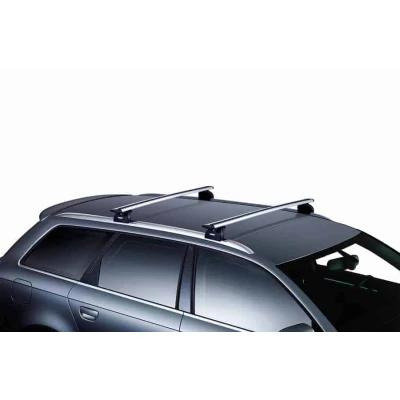 Afbeelding van Thule WingBar 1500 mm 963