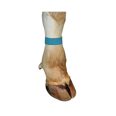 Afbeelding van Enkelband koe met klittenband blauw 10 stuks