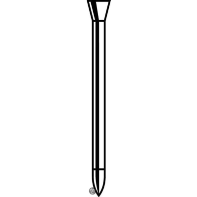 Afbeelding van DQ stalen nagel 3.0x40mm ck (1kg)