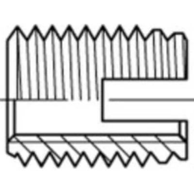 Afbeelding van 159829 Schroefdraad inzet M4 8 mm 50 stuk(s)