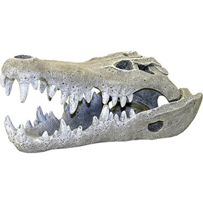 Afbeelding van Blue Ribbon Rozenhout Nijl Krokodil Schedel Aquarium Decor, Klein, Grijs