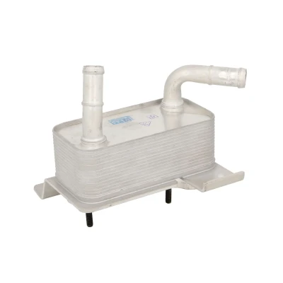 Afbeelding van Radiator, aandrijfbatterij NRF 315001
