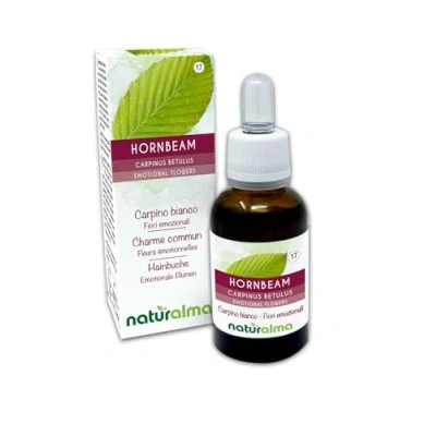 Afbeelding van Hornbeam of Haagbeuk (Carpinus betulus) Naturalma Bachbloesems Druppels 30 ml alcoholvrij vloeibaar extract Bloesemessences Veganistisch en
