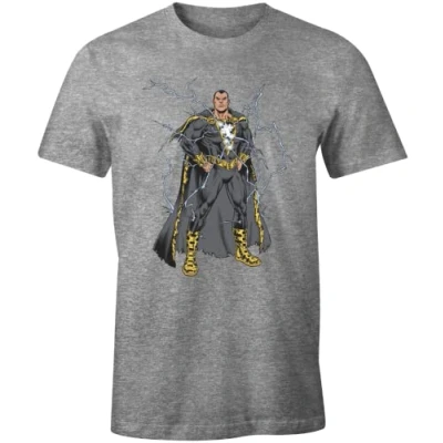 Afbeelding van dc comics MEBLADOTS004 T shirt, Grijs gemêleerd, XXL heren, Chinees,