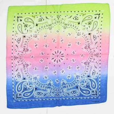 Afbeelding van Zac&#039;s Alter Ego Retro Vintage Paisley Bandana Multicolours
