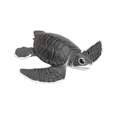 Afbeelding van Zee Schildpad Baby