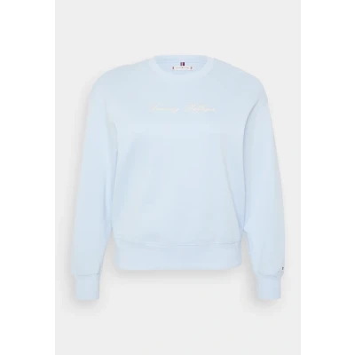 Afbeelding van Tommy Hilfiger Curve Script Longsleeve, Dames, Maat: 46, Breezy blue