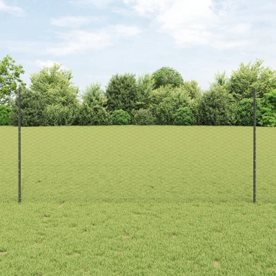 Afbeelding van vidaXL Metalen Tuinhek Set van 2 Grijs, Zwart 25 x 1.2 m