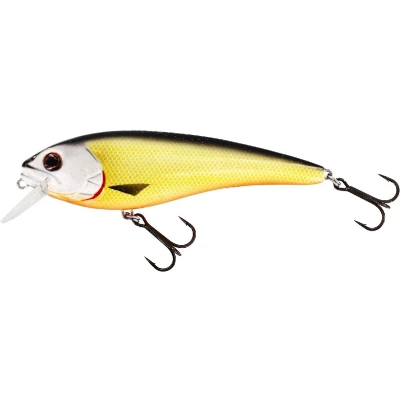 Afbeelding van Westin RawBite Crankbait Low Floating Official Roach 17cm (100g) Plug