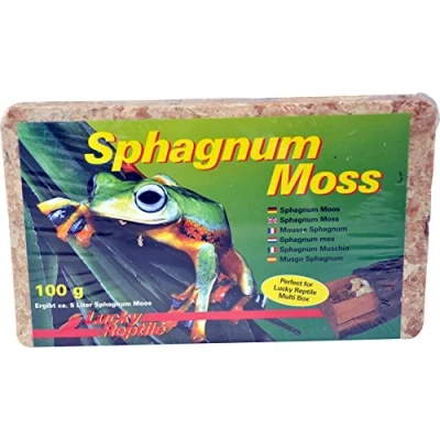 Afbeelding van Lucky Reptile Natuurlijke decoratie SM 100