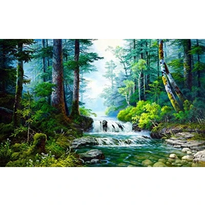 Afbeelding van Wowdecor Verf op nummer kits voor volwassenen kinderen, schilderen bos groene bomen stroom landschap 16x20 inch (frameloos)