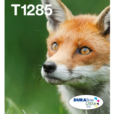 Afbeelding van Epson Fox Multipack 4 colours T128 EasyMail (C13T12854511)