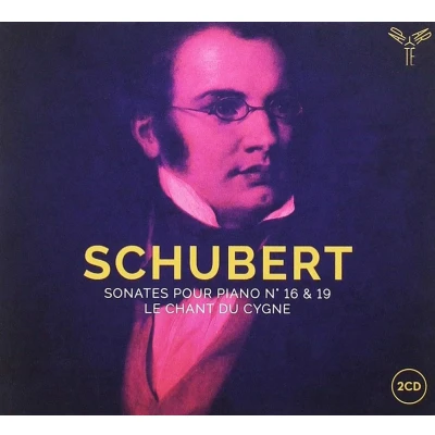 Afbeelding van Louis Schwizgbel, Stefan Genz &amp; Michel Dalberto Schubert: Sonates Pour Piano No.16 19 (2 CD)
