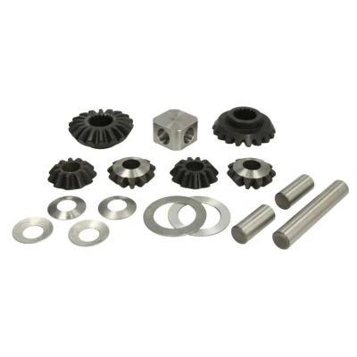 Afbeelding van C.E.I. Reparatieset differentieel 198.679