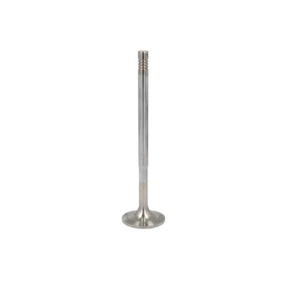 Afbeelding van Inlaatklep MAHLE 061 VE 32054 000