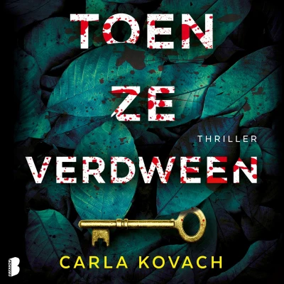 Afbeelding van Toen ze verdween