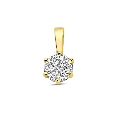Afbeelding van 14K geelgoud hanger zirkonia 4032525