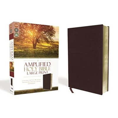 Afbeelding van Amplified Holy Bible, Large Print, Bonded Leather, Burgundy: Captures the Full Meaning Behind Original Greek and Hebrew