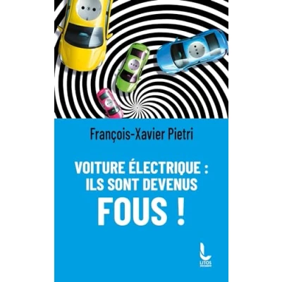 Afbeelding van Voiture électrique : ils sont devenus fous !