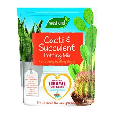 Afbeelding van Westland 10200054 Cactussen/Succulent Potcompostmix en verrijkt met Seramis, 4 liter, Bruin