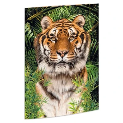 Afbeelding van RNKVERLAG 45367 Tekenmap Tiger 310 x 440 mm, documentenmap voor DIN A3, met elastieksluiting, 1 st.