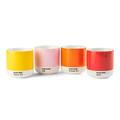Afbeelding van Copenhagen Design Cortado Beker Dubbelwandig 170 ml in Giftbox Set van 4 Stuks Multicolor / Porcelain