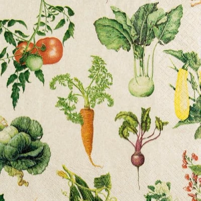 Afbeelding van Eco Line, 20 servetten, duurzaam van 100% gerecycled papier, groentesoorten, tuin, eten, zomer, tafeldecoratie 33 x cm