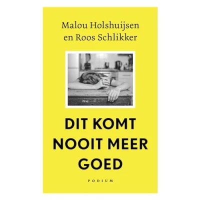 Afbeelding van Dit komt nooit meer goed (Paperback)