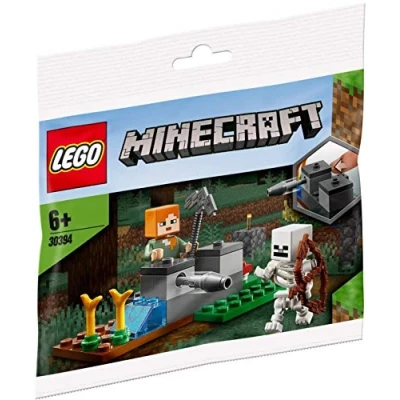 Afbeelding van LEGO Minecraft 30394 The Skeleton Defense (Polybag)