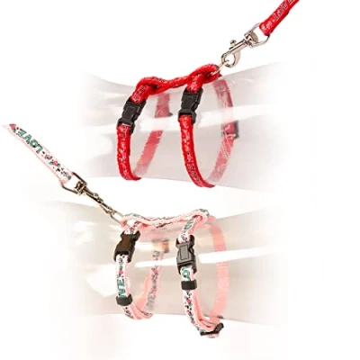 Afbeelding van Duvo+ Kitten Wandelset Love Rood/Roze 15 25cm / 8mm 125cm