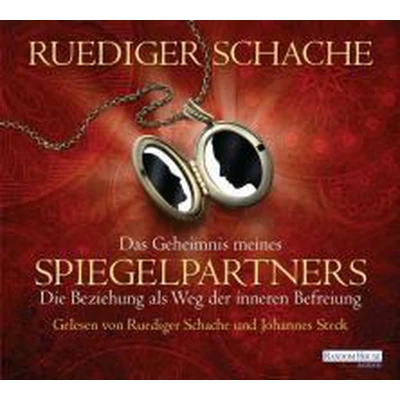 Afbeelding van Das Geheimnis meines Spiegelpartners