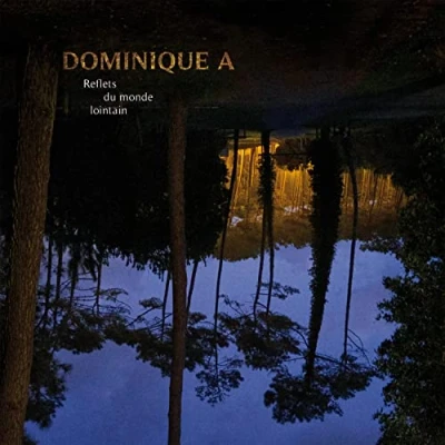 Afbeelding van Dominique A Reflets Du Monde Lointain (LP)