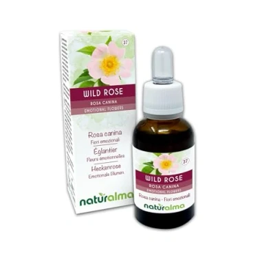 Afbeelding van Wild rose of Hondsroos (Rosa canina) Naturalma Bachbloesems Druppels 30 ml alcoholvrij vloeibaar extract Bloesemessences Veganistisch en
