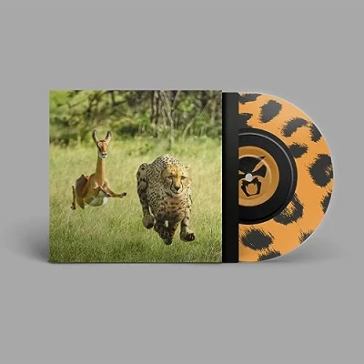 Afbeelding van Thundercat &amp; Tame Impala No More Lies (Single)