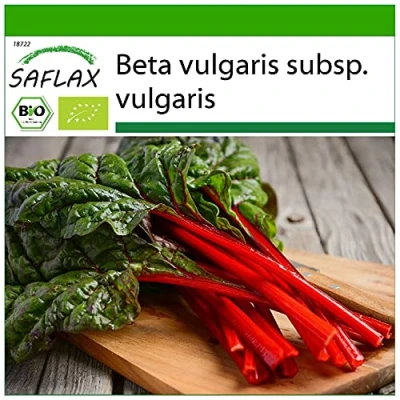 Afbeelding van SAFLAX Bio Snijbiet Rabarber 50 Zaden Met potgrond voor een betere teelt Beta vulgaris