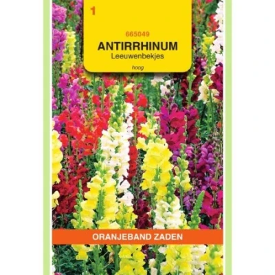 Afbeelding van Antirrhinum Leeuwenbekje hoog gemengd