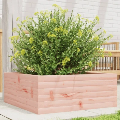 Afbeelding van Plantenbak 60x60x23 cm massief douglashout